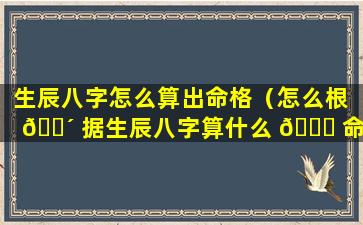 生辰八字怎么算出命格（怎么根 🌴 据生辰八字算什么 🐅 命）